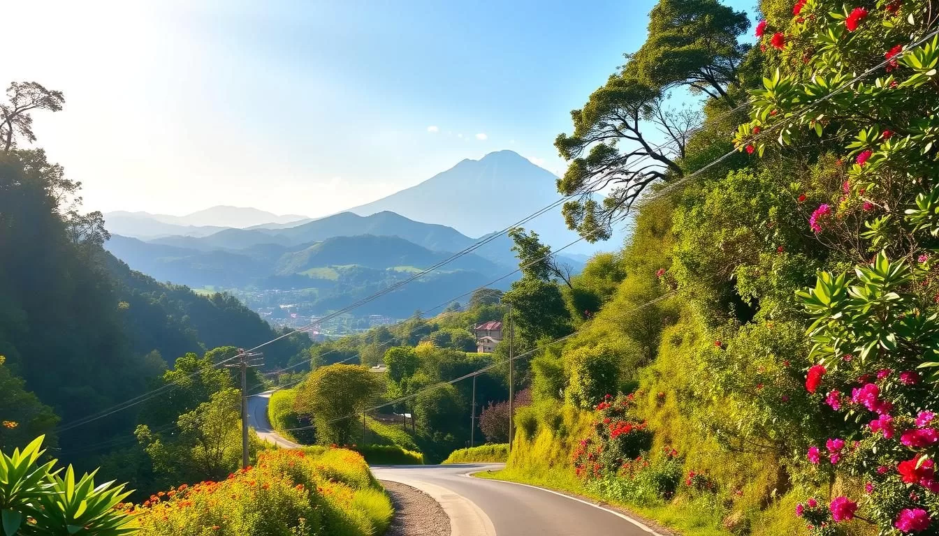 Ruta de las Flores